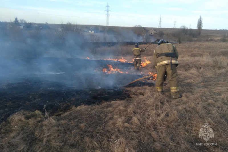 Пожарные ликвидировали сразу несколько возгораний сухостоя в Енакиево и Снежное