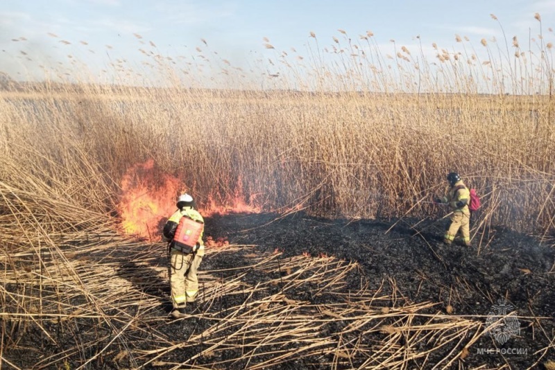 Огнеборцы ликвидировали пожары в Старобешевском районе, Макеевке и Новоазовске