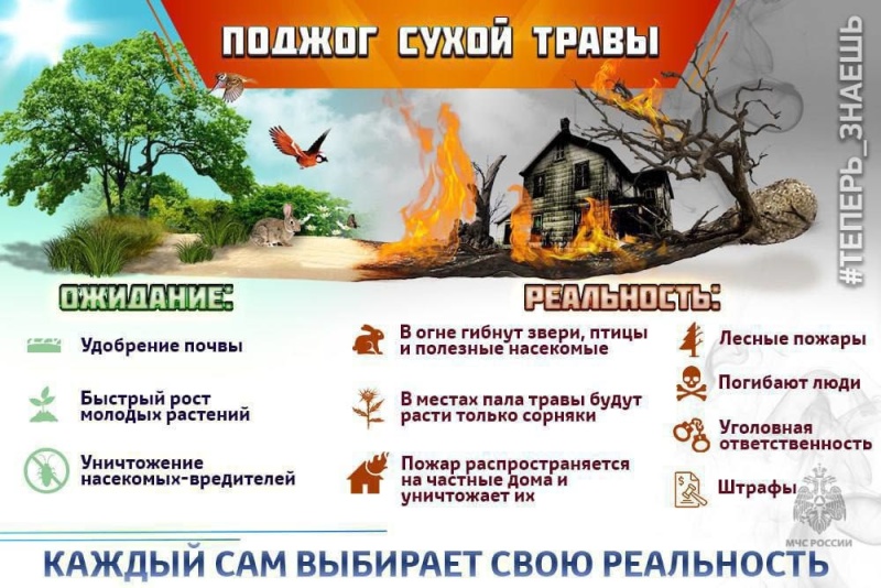 Чем может обернуться выжигание прошлогодней травы?