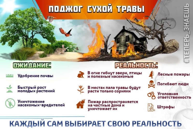 ПОМНИ: пал травы – это рукотворное стихийное бедствие!