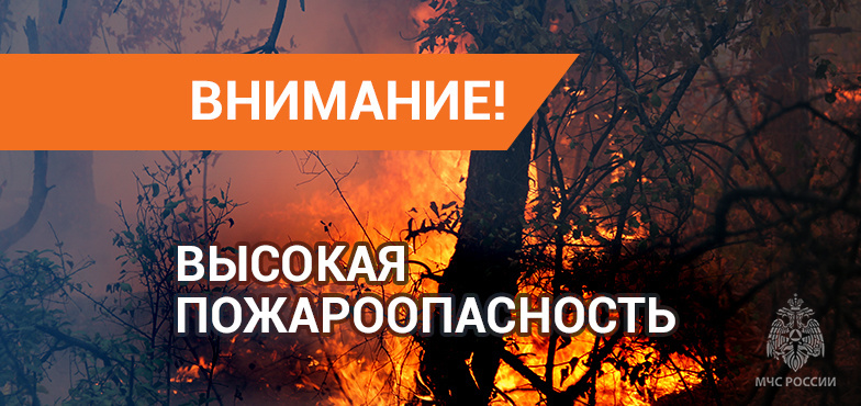 Чрезвычайная пожароопасность (5 класс) ожидается в центральных, юго-восточных и юго-западных районах ДНР до конца дня 20 и в течение суток 21 июля.