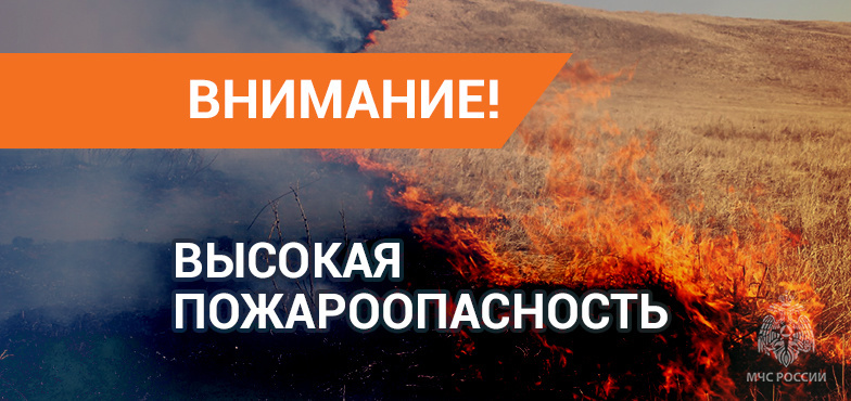 Чрезвычайная пожароопасность (5 класс) ожидается 30 июля 2024 г.